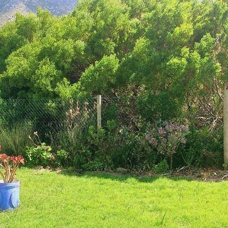 Cat Nap Cottage Bettyʼs Bay المظهر الخارجي الصورة