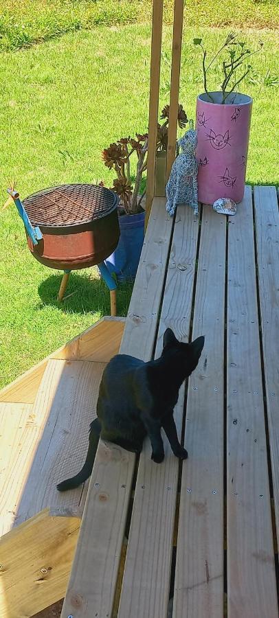 Cat Nap Cottage Bettyʼs Bay المظهر الخارجي الصورة