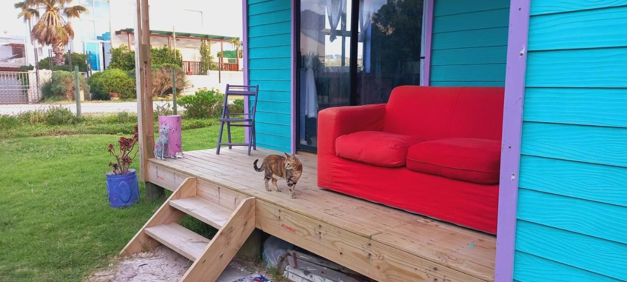 Cat Nap Cottage Bettyʼs Bay المظهر الخارجي الصورة
