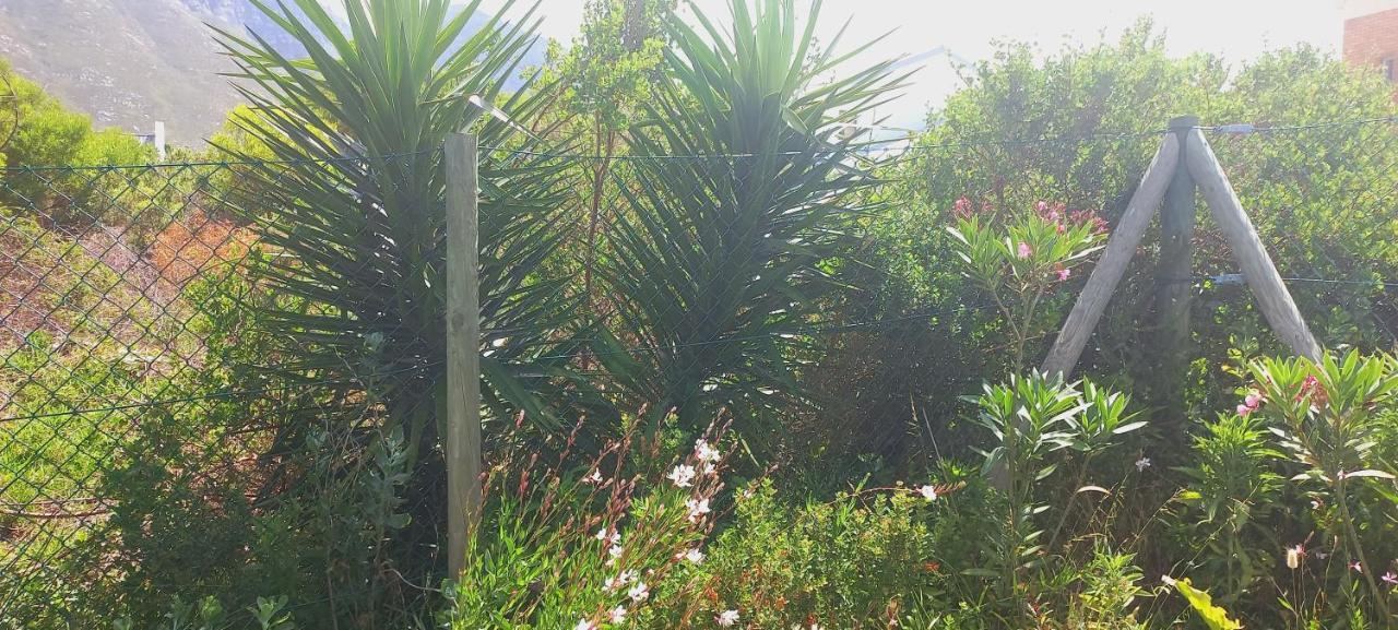 Cat Nap Cottage Bettyʼs Bay المظهر الخارجي الصورة