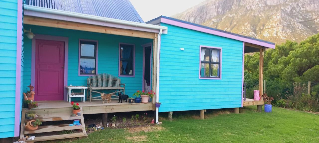 Cat Nap Cottage Bettyʼs Bay المظهر الخارجي الصورة