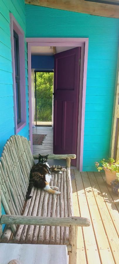 Cat Nap Cottage Bettyʼs Bay المظهر الخارجي الصورة