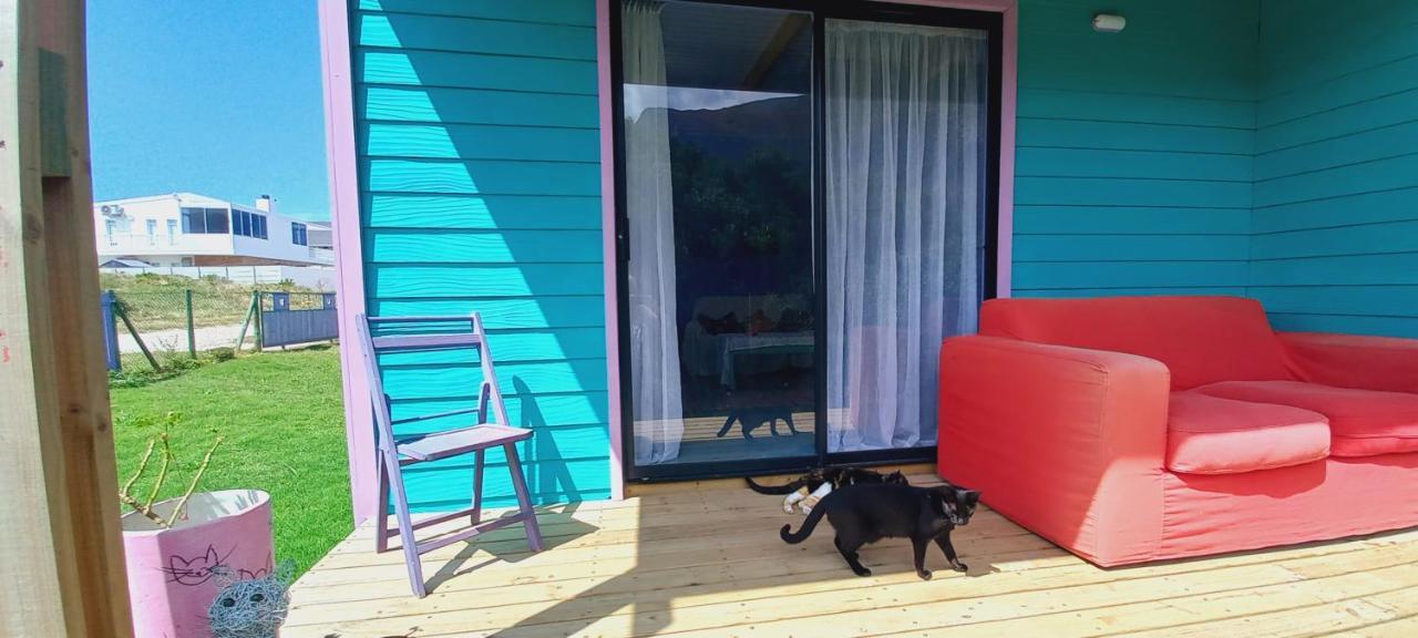 Cat Nap Cottage Bettyʼs Bay المظهر الخارجي الصورة