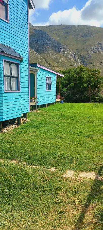 Cat Nap Cottage Bettyʼs Bay المظهر الخارجي الصورة