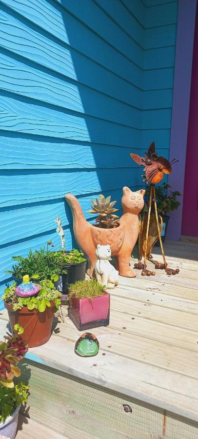 Cat Nap Cottage Bettyʼs Bay المظهر الخارجي الصورة