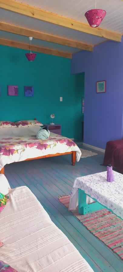 Cat Nap Cottage Bettyʼs Bay المظهر الخارجي الصورة